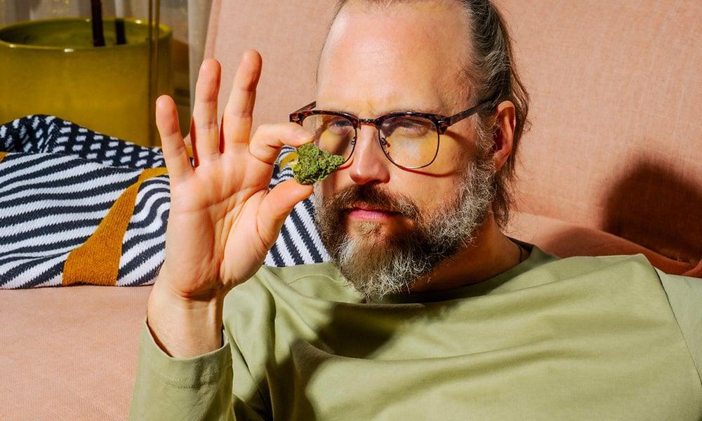 special 3353911 photo