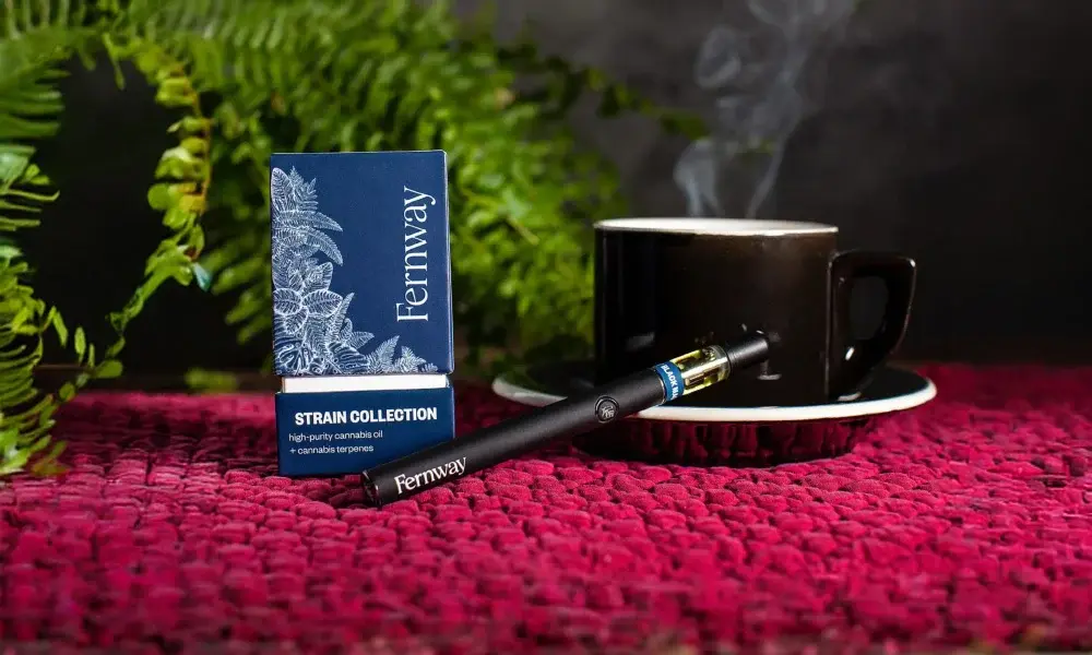 special 3369563 photo