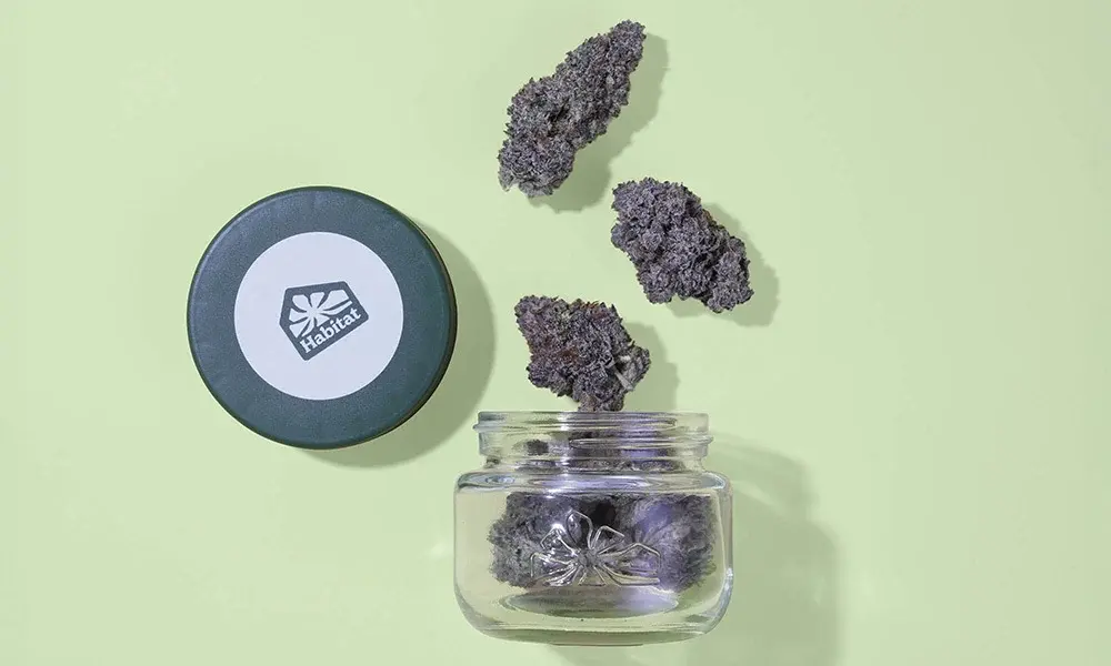 special 3416242 photo