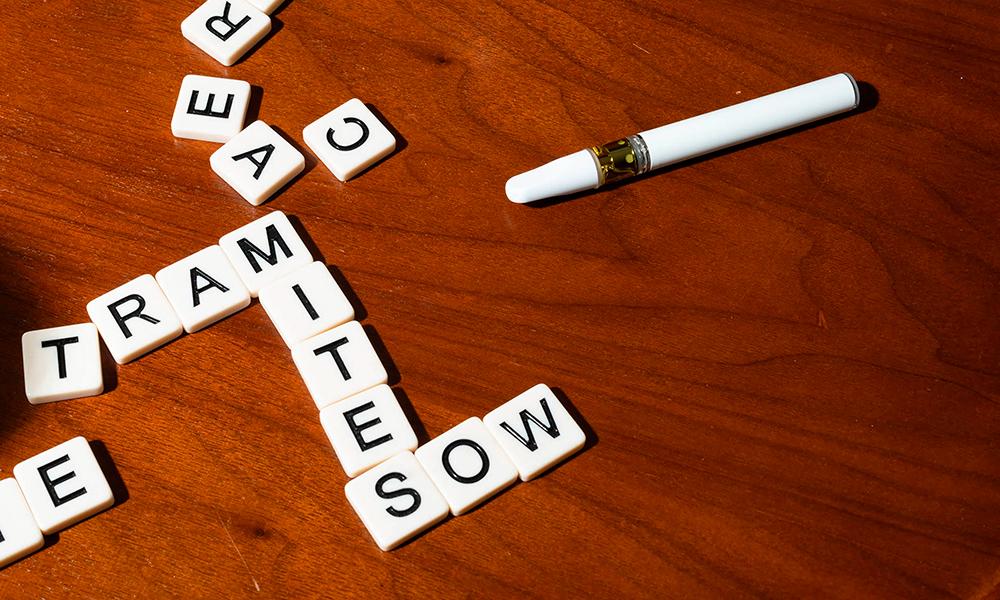 special 3388955 photo