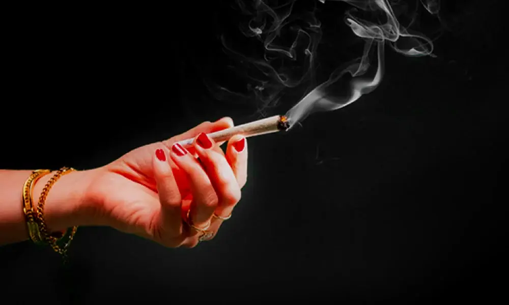 special 3263240 photo