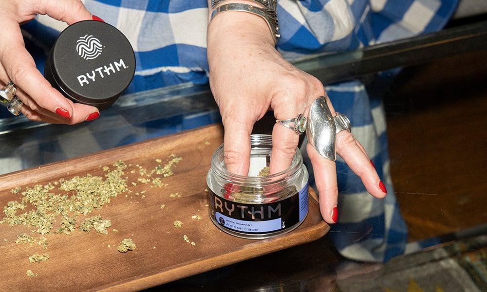 special 3352354 photo