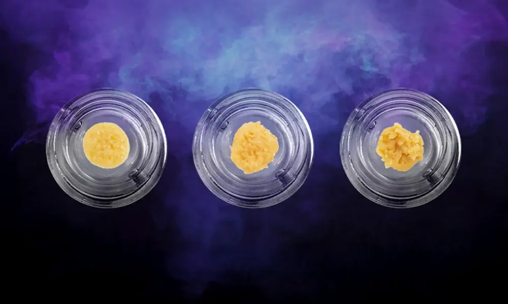 special 3303357 photo