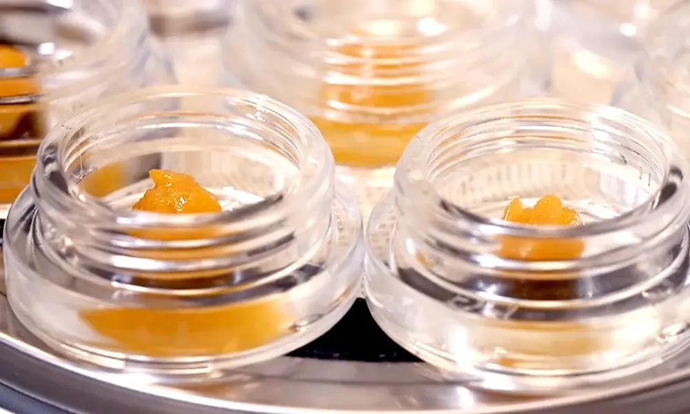 special 3352362 photo