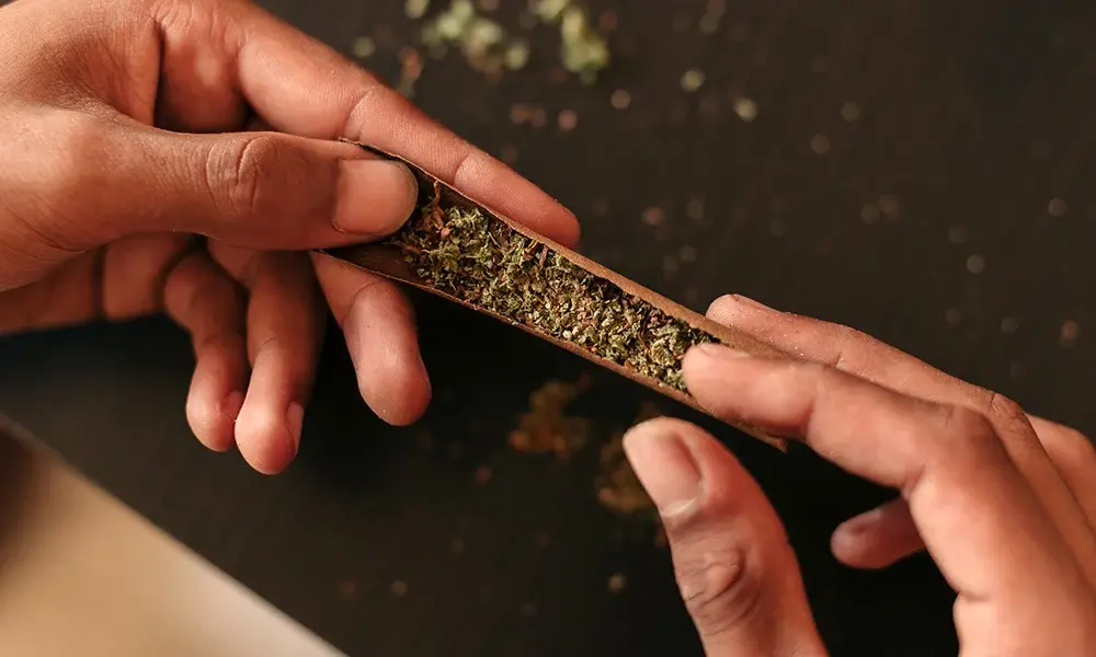 special 3208946 photo